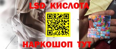 стаф Камышлов