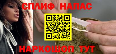 прущие грибы Кандалакша