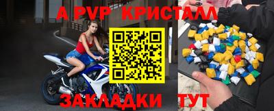 прущие грибы Кандалакша